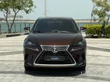 Lexus NX 300 2020